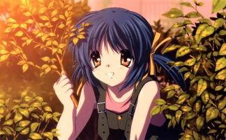 义母散华无码动漫中文,探寻禁忌之美的动漫世界