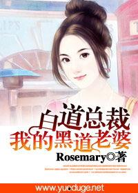 黑道老公白道妻,黑道老公与白道妻子的爱恨情仇