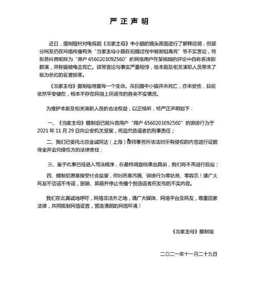 盖公章视频,如何根据盖公章视频轻松识别真伪